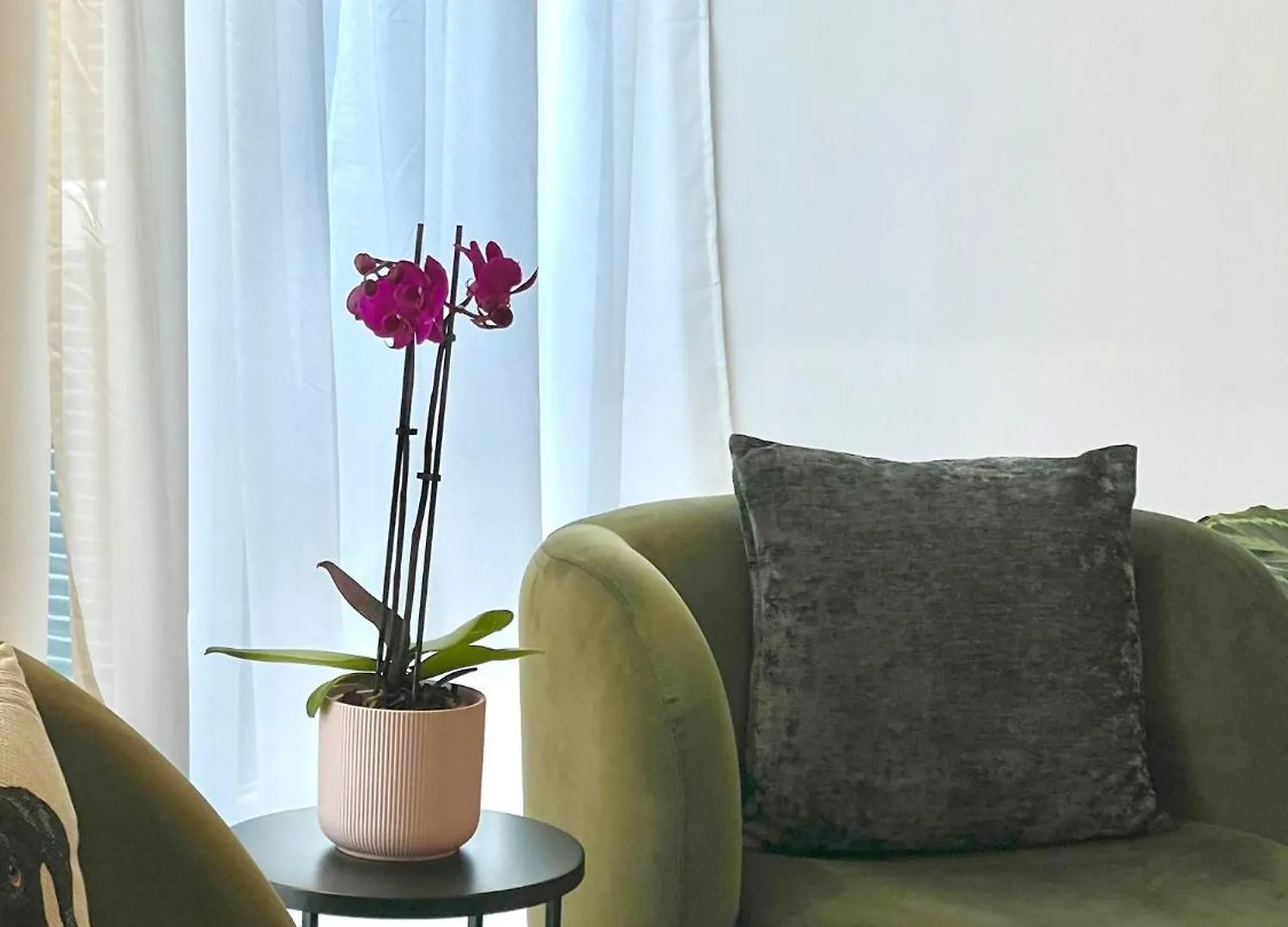 I Marmi New Royal Design Apartment Livorno Italien